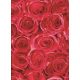 Gekkofix ROSES öntapadós tapéta 45 cm x 2 m