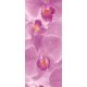 Orchidea öntapadós poszter, fotótapéta 149SKT /91x211 cm/