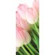 Tulipánok öntapadós poszter, fotótapéta 8-018SKT /91x211 cm/