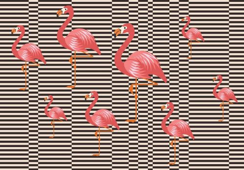 Flamingók poszter, fotótapéta Vlies (152,5 x 104 cm)