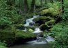 Mountain stream poszter, fotótapéta Vlies (208 x 146 cm)