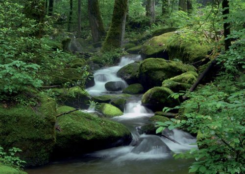 Mountain stream poszter, fotótapéta, Vlies (104 x 70,5 cm)