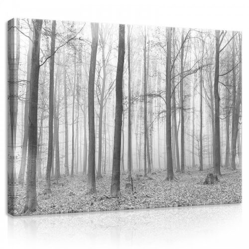 Vászonkép, Erdő fekete-fehér, 100x75 cm méretben