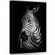 Zebra, vászonkép, 50x70 cm méretben