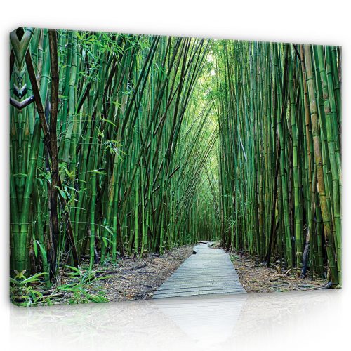 Vászonkép, Út a bambusz erdőben, 100x75 cm méretben