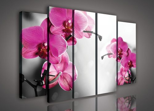 Vászonkép, 5 darabos Orchideák 150x100 cm méretben