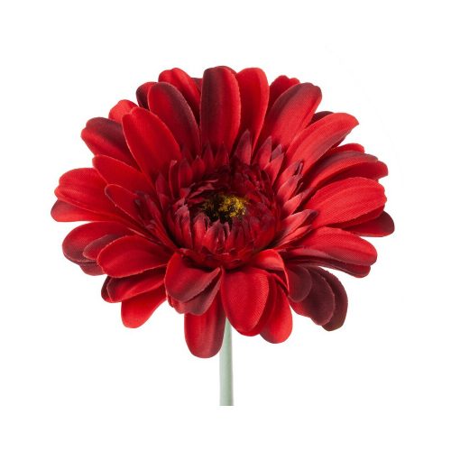 Gerbera 374 Piros