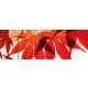 RED LEAVES öntapadós konyhai poszter, 180x60 cm