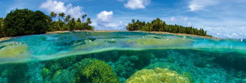 CORAL REEF öntapadós konyhai poszter, 180x60 cm