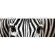 ZEBRA öntapadós konyhai poszter, 180x60 cm