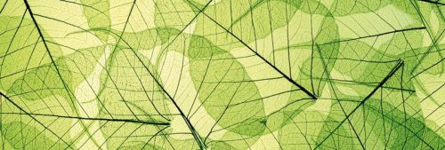 LEAF VEINS öntapadós konyhai poszter, 180x60 cm