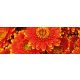 GERBERA öntapadós konyhai poszter, 180x60 cm