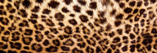 LEOPARD SKIN öntapadós konyhai poszter, 180x60 cm