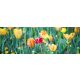 SPRING FLOWERS öntapadós konyhai poszter, 180x60 cm