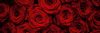 BEAUTIFUL RED ROSES öntapadós konyhai poszter, 180x60 cm