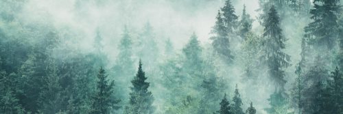 FOGGY FOREST öntapadós konyhai poszter, 180x60 cm