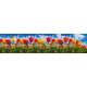 SPRING TULIP FIELD öntapadós konyhai poszter, 260x60 cm