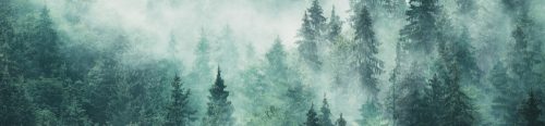 FOGGY FOREST öntapadós konyhai poszter, 260x60 cm