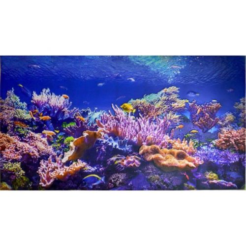 Falburkolat - FLEXWALL Coral - Akvárium halak tenger PVC falpanel